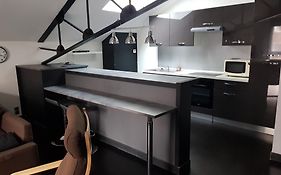 Appartement Loft Croix Lille